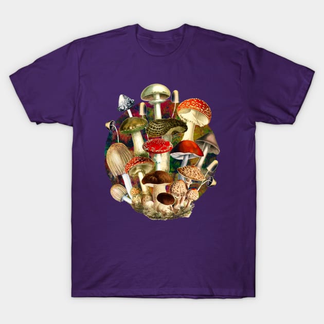 Mushroom night forest, mushroom art, mycology, multicoloured cottage core aesthetic design over a T-Shirt by Zeinab taha